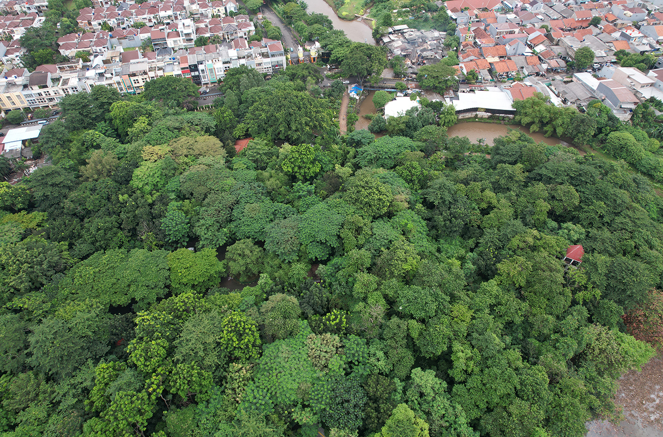 Hutan Kota Srengseng