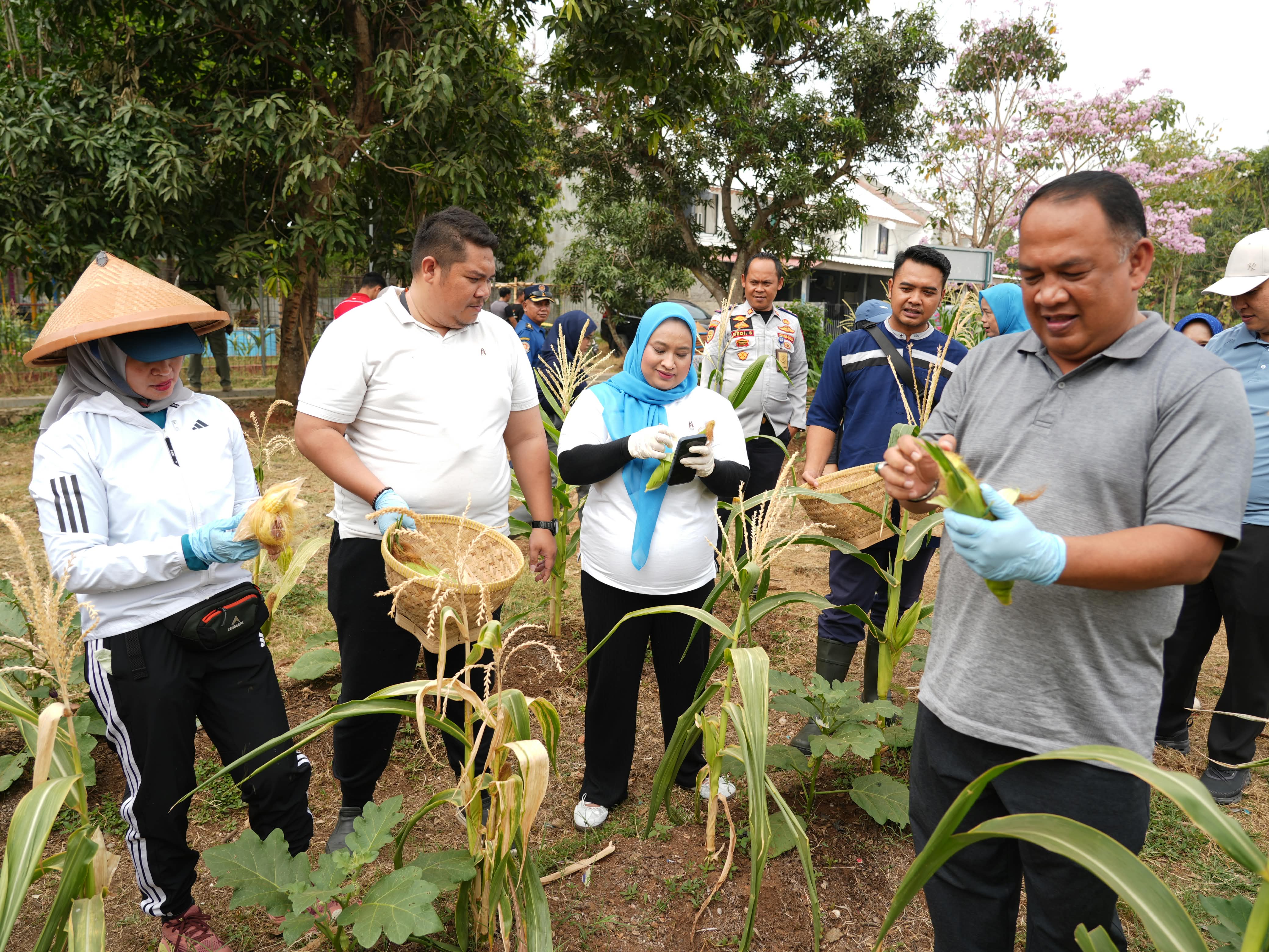 Gambar