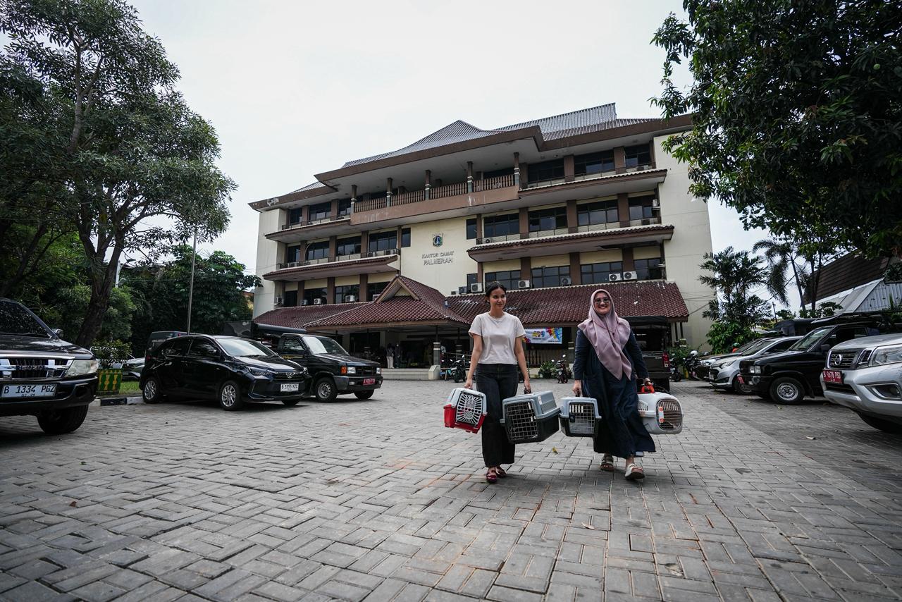 Gambar