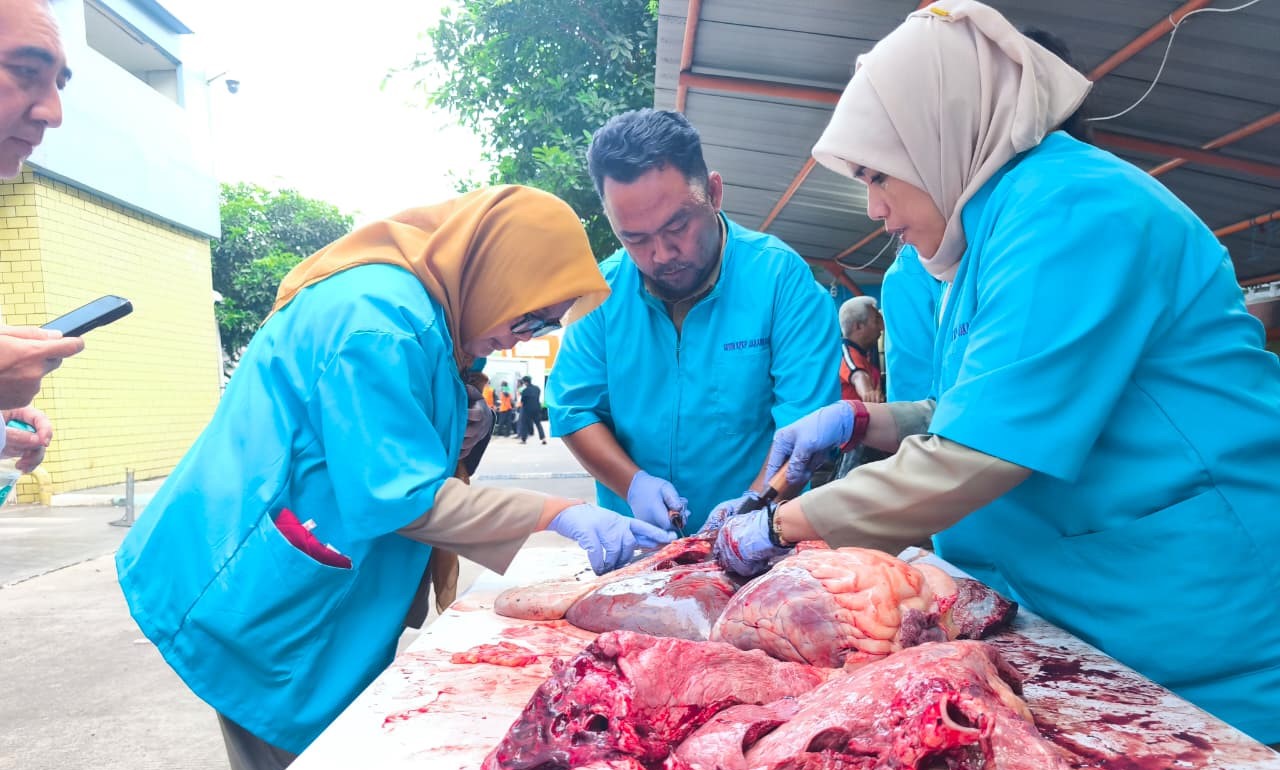 Gambar