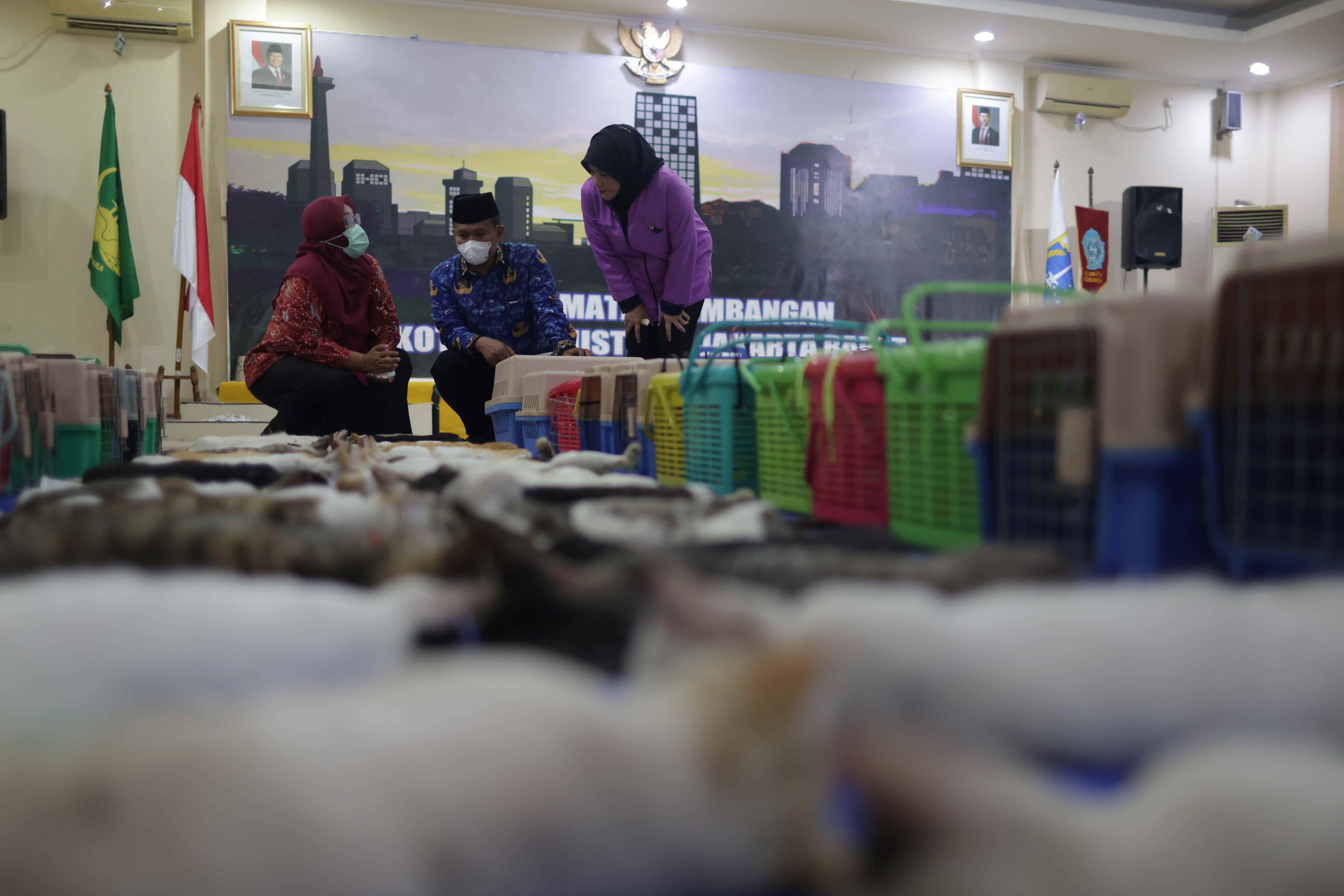 Gambar