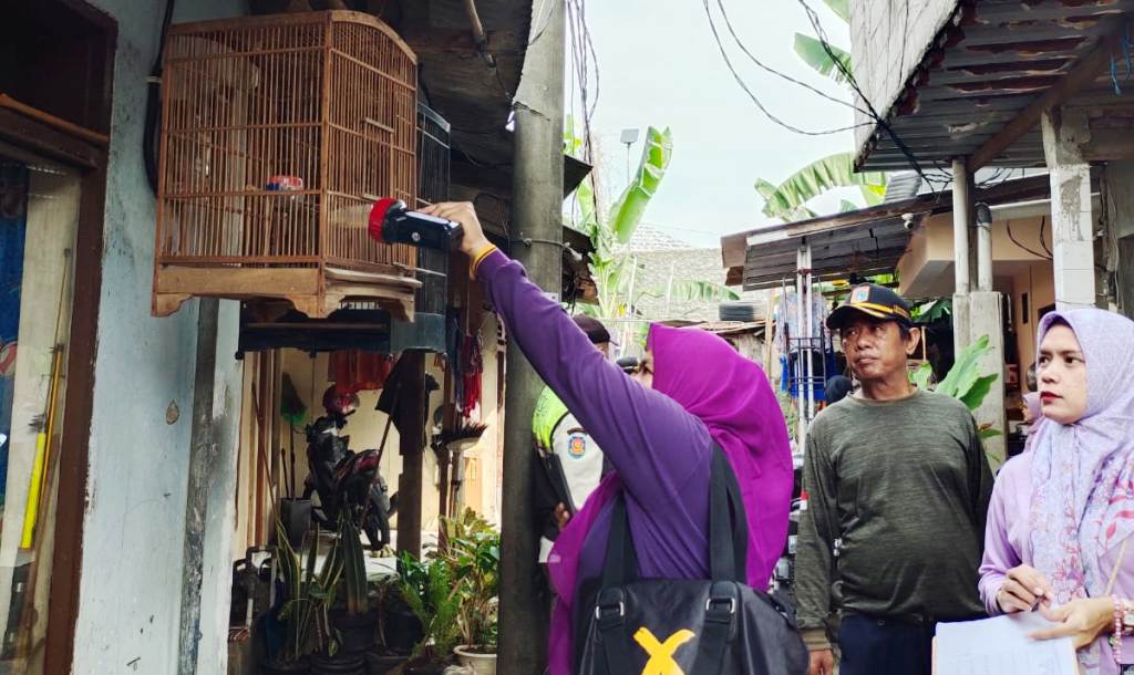 Gambar