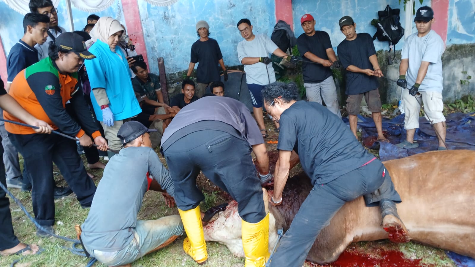 Foto Berita
