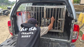 Foto Berita